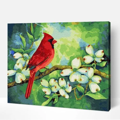 Ocasión Especial Pintar por Números – Cardenal