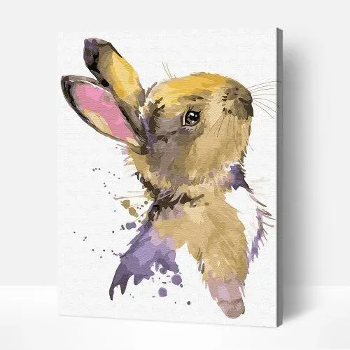 Edición Limitada Pintar por Números – Conejo Fluffy